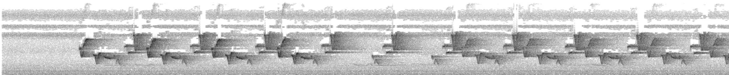 Riverside Wren - ML640330440
