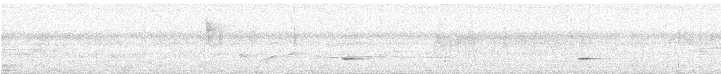 passerine sp. - ML640332007