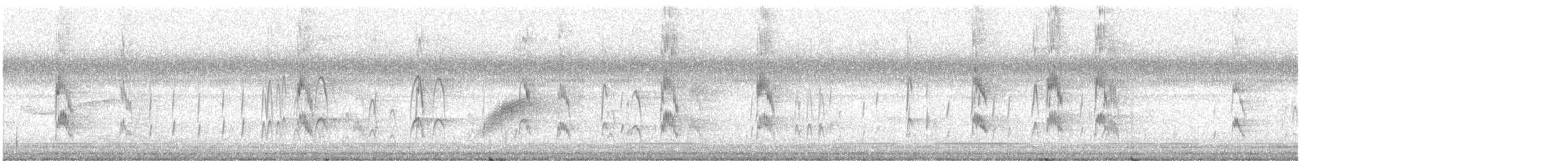 Red-cockaded Woodpecker - ML640334199