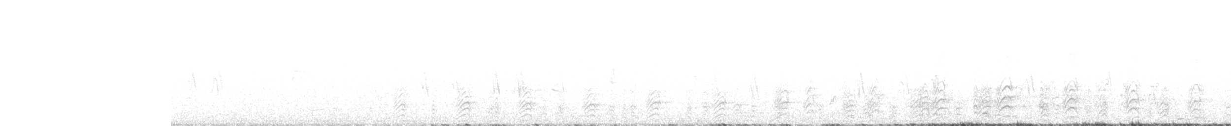 Acorn Woodpecker - ML640334809