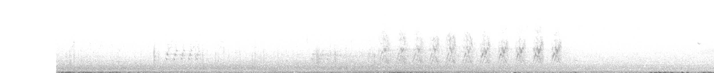 California Scrub-Jay - ML640334948