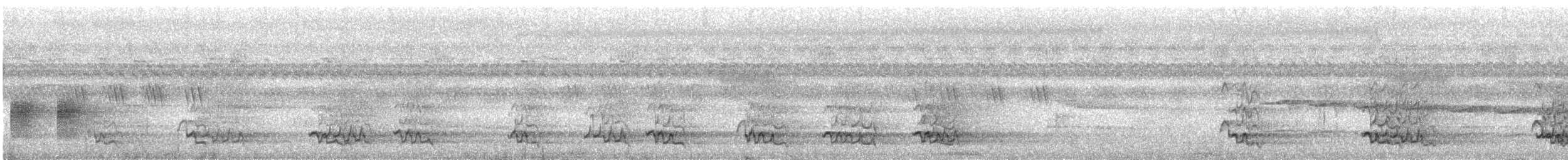 ボウシゲラ - ML640336007