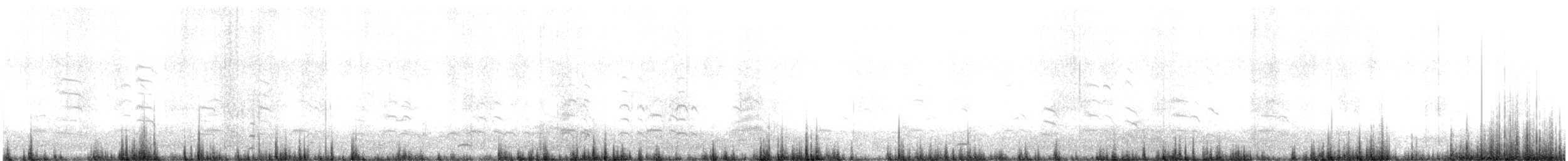 Coscoroba Swan - ML640336587