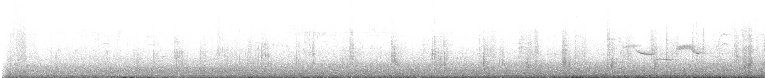 Bewick's Wren - ML640336664