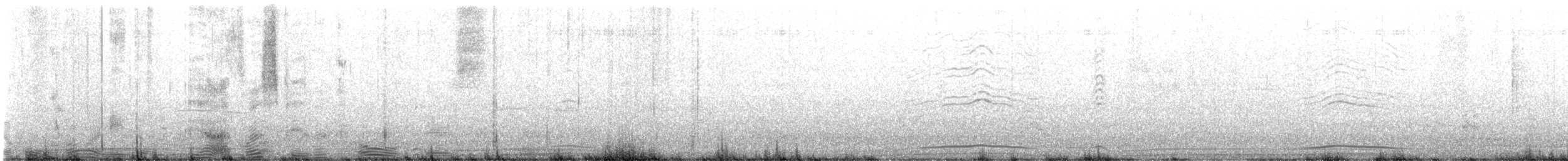 長尾水薙鳥 - ML640336947