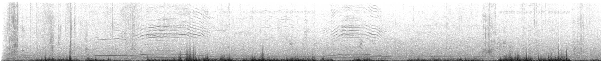 長尾水薙鳥 - ML640336948