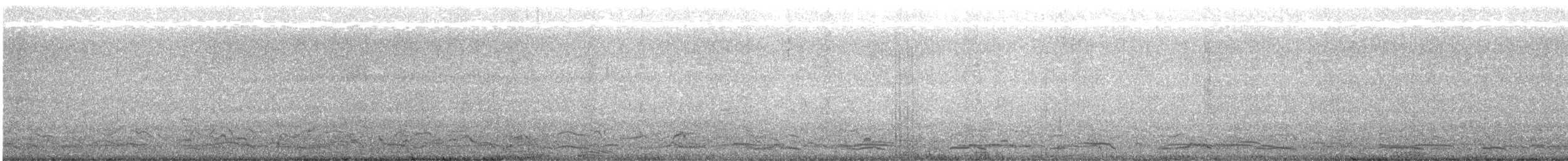 Brandt's Cormorant - ML640339477