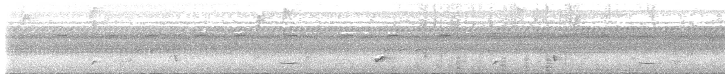 Black-striped Sparrow - ML640341258