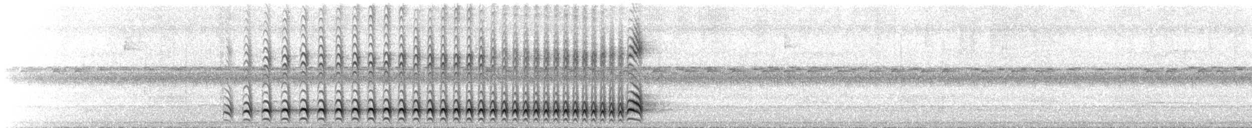 Barred Antshrike - ML640343074