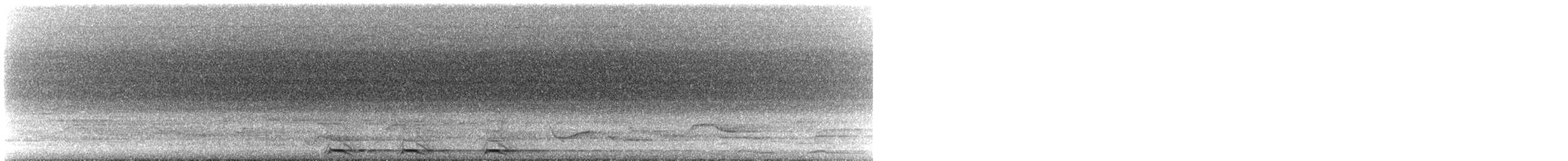 Sungrebe - ML640343331