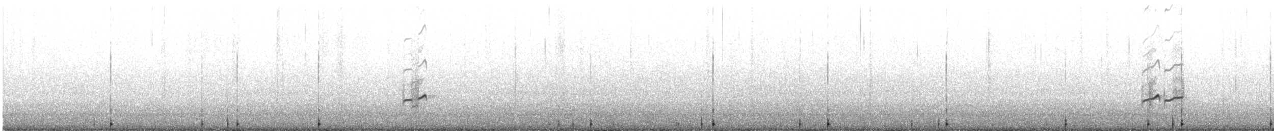 Gray-tailed Tattler - ML640343669