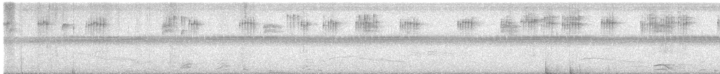 Common Loon - ML640344408