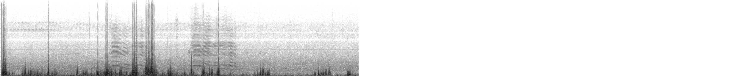 Gray-hooded Gull - ML640344431