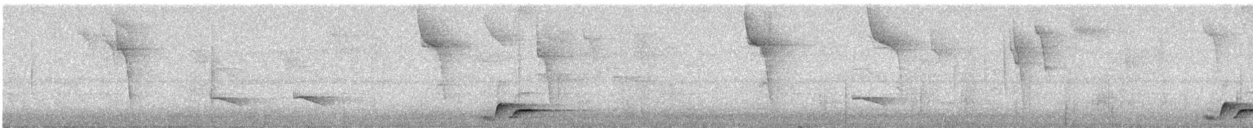 Whiskered Wren - ML640344855
