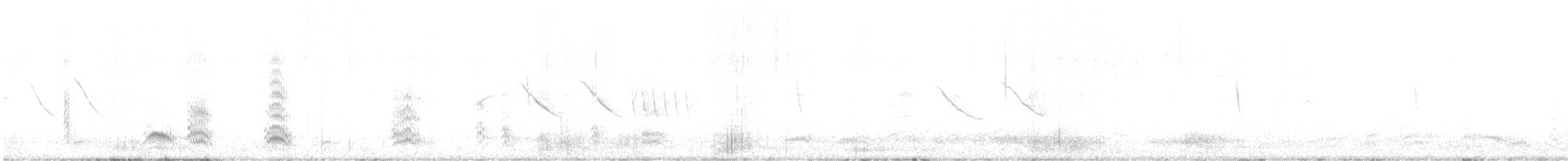 Gray-hooded Gull - ML640345404