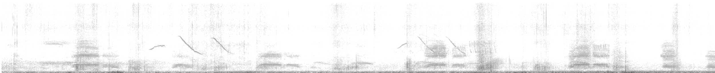 Gray-hooded Gull - ML640345408