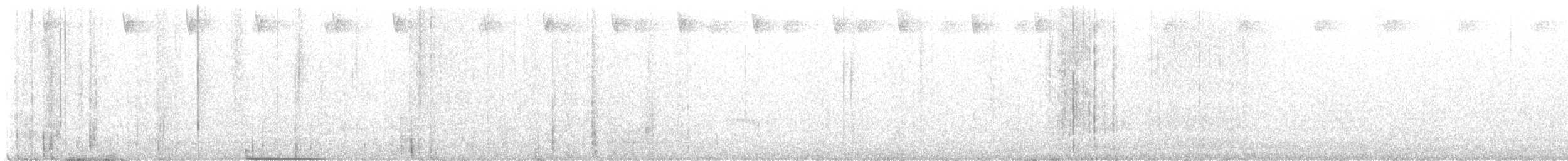 Colibri moucheté - ML640345963