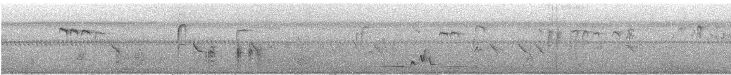 Шпак японський - ML640346343