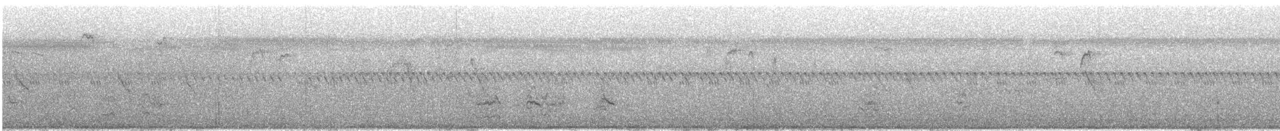 Шпак японський - ML640346542