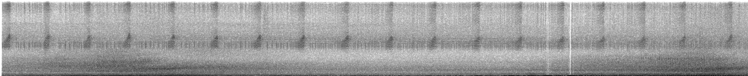 Large Brown Cicada - ML640347855