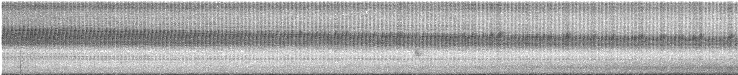 Large Brown Cicada - ML640347984