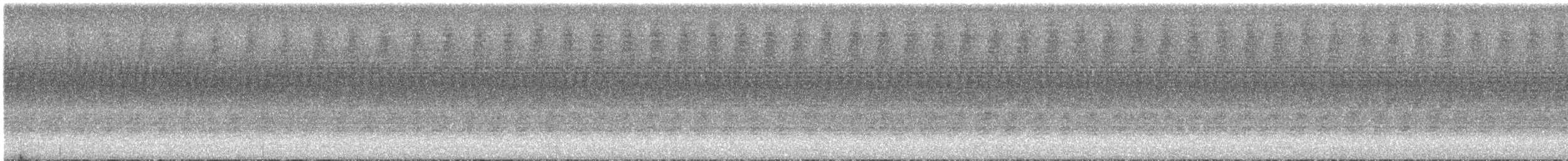 Black Giant Cicada - ML640348076