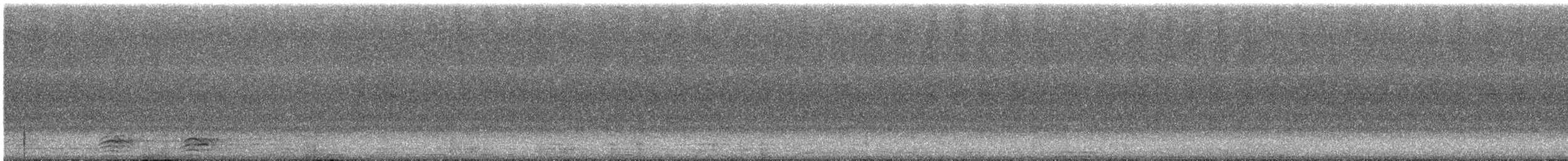 Black Giant Cicada - ML640348538