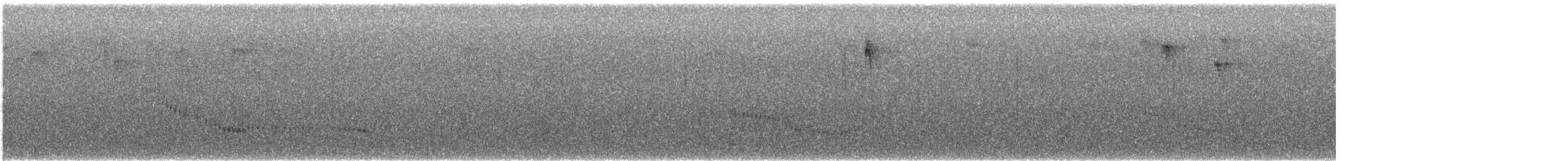 sotslørugle (tenebricosa/arfaki) - ML640348766