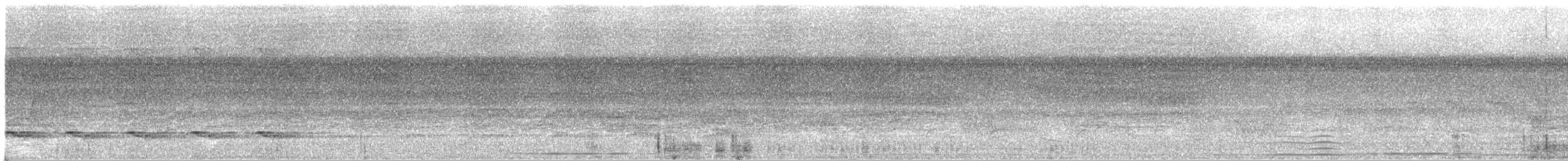 Goeldi's Antbird - ML640350814