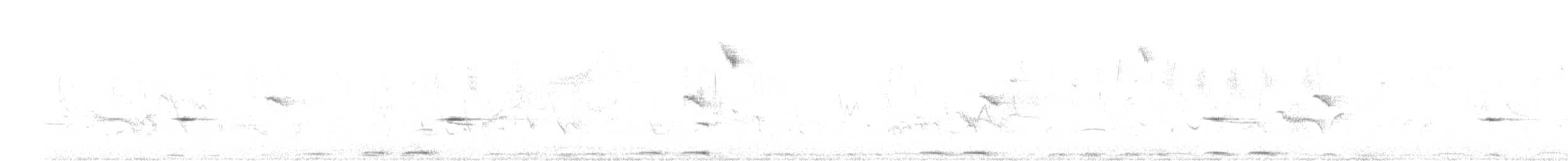 Fan-tailed Grassbird - ML640352136