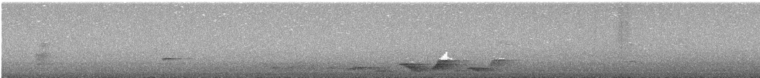 Albert's Lyrebird - ML640352536