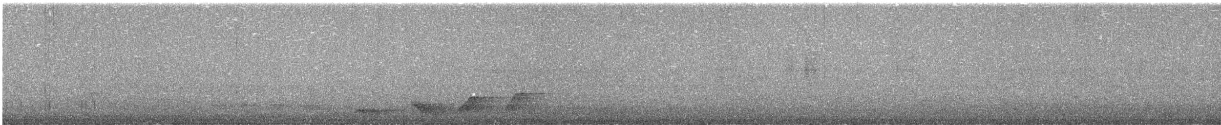 Albert's Lyrebird - ML640352537