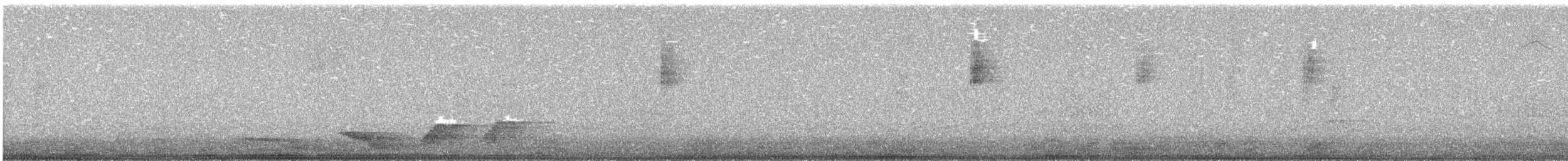 Albert's Lyrebird - ML640352538