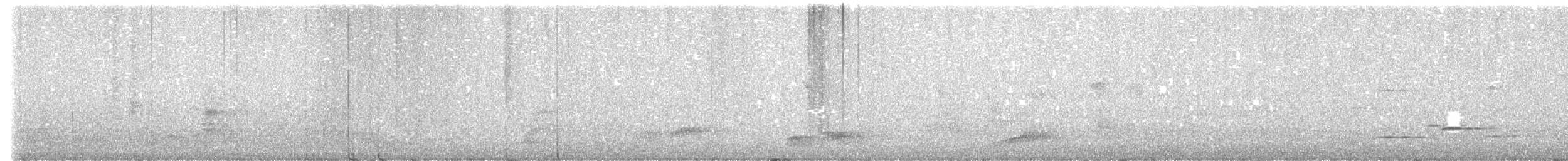 Albert's Lyrebird - ML640352539