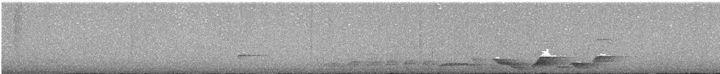 Albert's Lyrebird - ML640352540