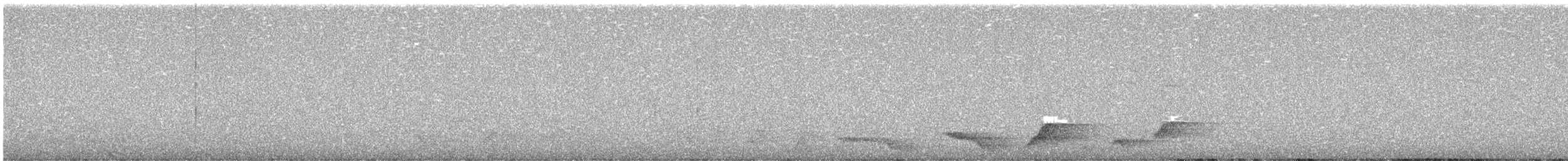 Albert's Lyrebird - ML640352541