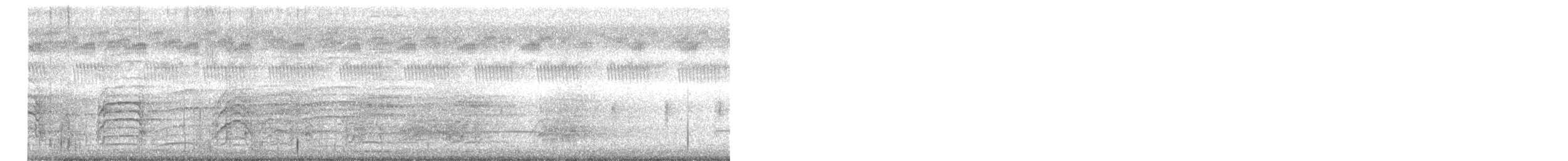 カササギサイチョウ - ML640353336