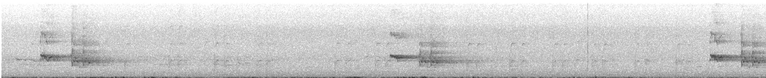 Gray Currawong - ML640353881