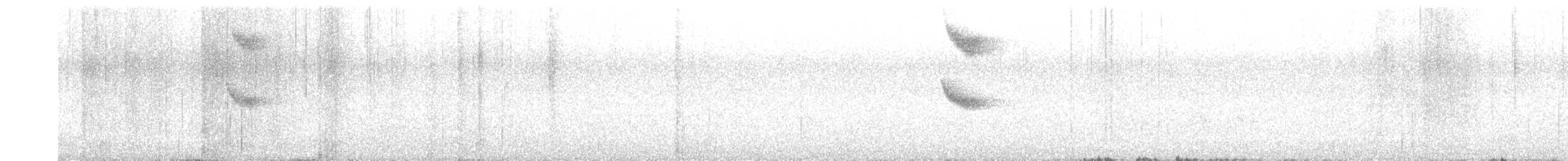 modravec siný - ML640354564