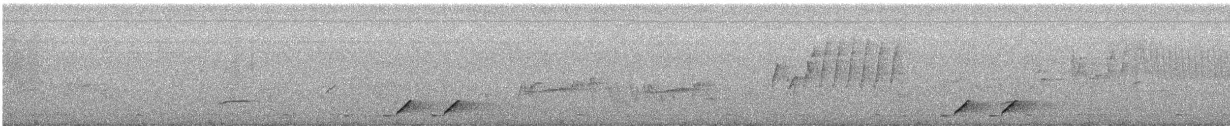 Doppelbandwürger - ML640355015