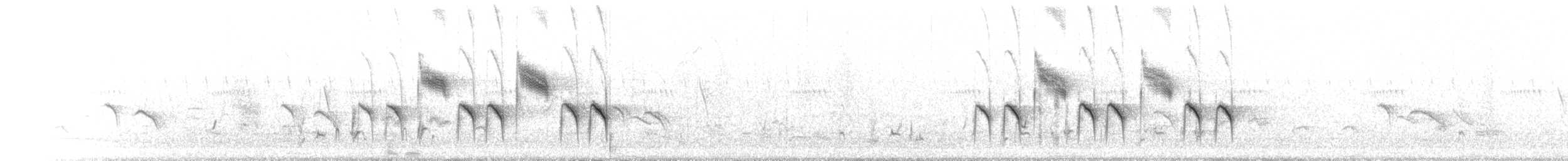 Mésange à ailes blanches - ML640356265