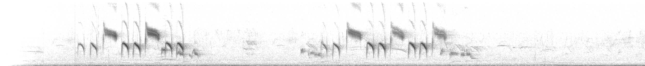 Mésange à ailes blanches - ML640356266