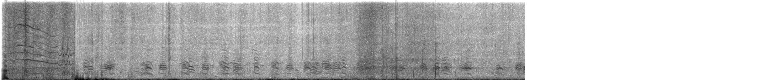 Barnacle Goose - ML640356797