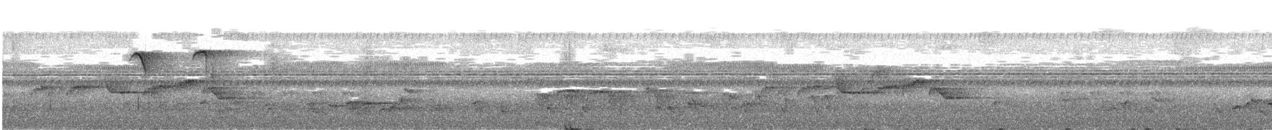 Weißbrauensylvietta - ML640356950