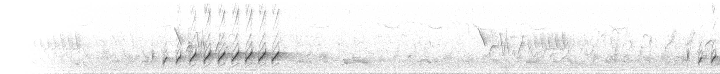 Black-headed Cuckooshrike - ML640357190