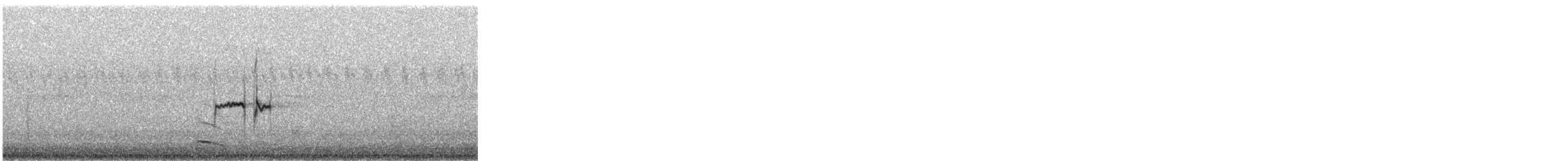 Least Sandpiper - ML640357331