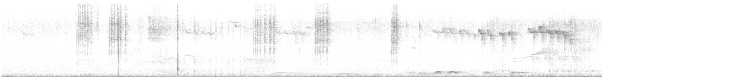 Broad-billed Hummingbird - ML640357456