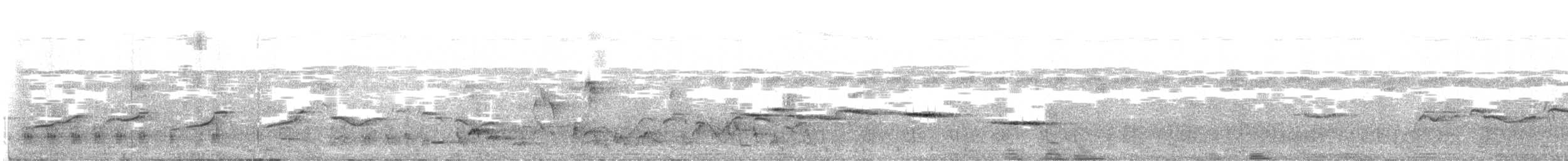 Акалат білобровий - ML640357755