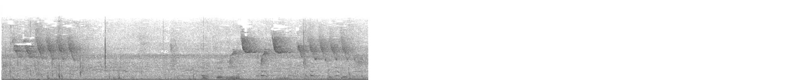 African Pied Wagtail - ML640357995