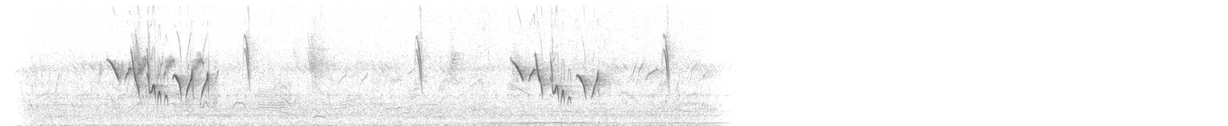 Indian Robin - ML640358063